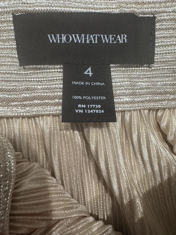 Who‎ What Wear Skirt  Size 4 Metallic Pleated Shimmer Chic Glam